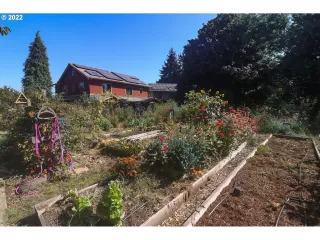 Photo #1: 22599534 Listing 