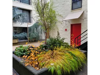 Photo #4: 22600516 Listing 