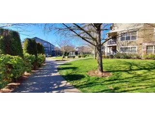 Photo #1: 22623862 Listing 