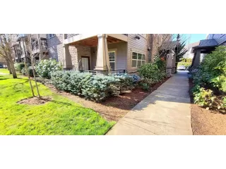 Photo #3: 22623862 Listing 