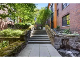 Photo #6: 226240584 Listing 