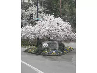 Photo #2: 22655204 Listing