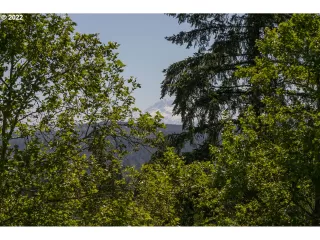 Photo #2: 22660922 Listing