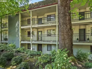 Photo #1: 23006539 Listing