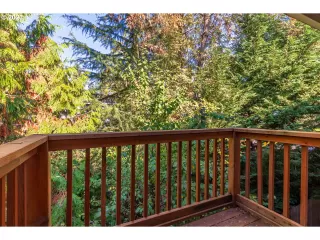 Photo #3: 23060621 Listing 