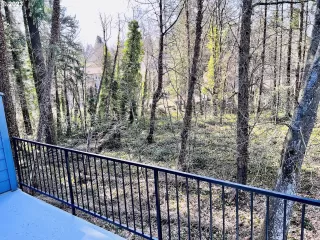 Photo #3: 23068401 Listing