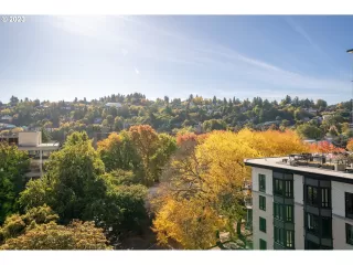 Photo #3: 23072436 Listing 