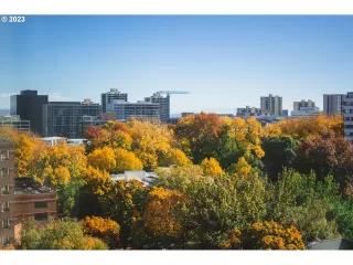 Photo #5: 23072436 Listing 