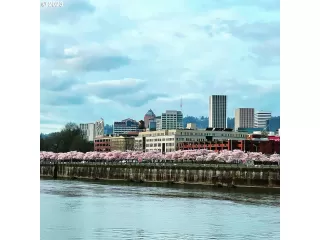 Photo #5: 23077388 Listing