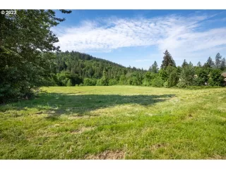 Photo #3: 23098487 Listing