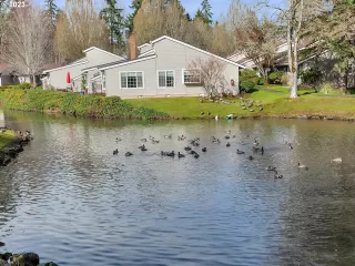 Photo #4: 23128582 Listing