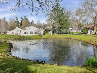 Photo #5: 23128582 Listing