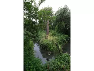 More Details about MLS # 23135101 : 11244 SW BEL AIRE LN