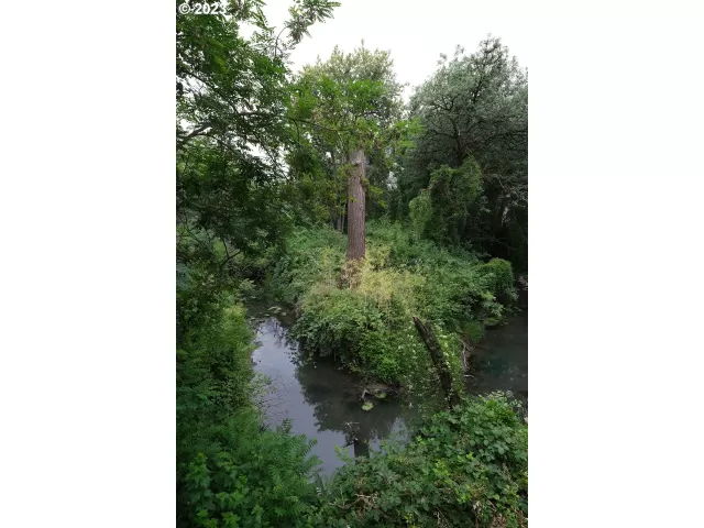 MLS: 23135101 Condo For Sale