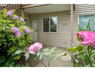 Photo #1: 23150048 Listing 