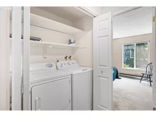Photo #4: 231929479 Listing 