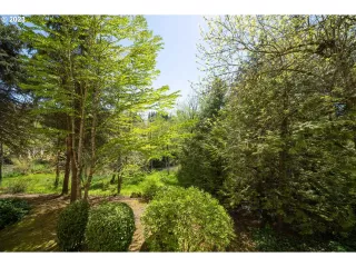 Photo #5: 23245420 Listing