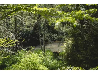 Photo #6: 23245420 Listing