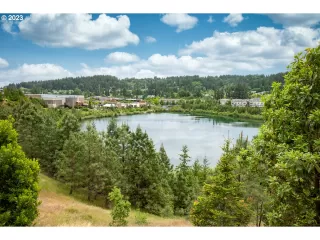 Photo #2: 23257734 Listing 