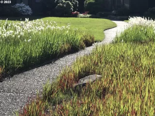 Photo #5: 23263518 Listing