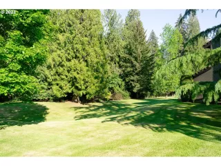 Photo #5: 23313680 Listing 