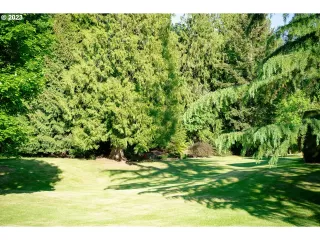 Photo #6: 23313680 Listing 