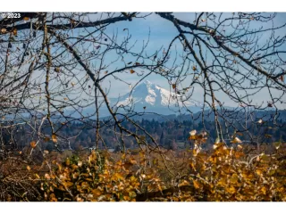 Photo #5: 23343876 Listing