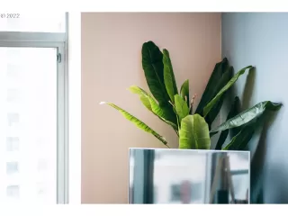 Photo #4: 23358843 Listing