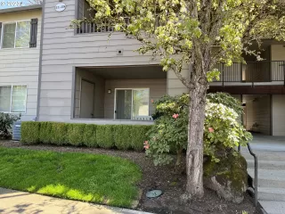 Photo #1: 23379337 Listing 