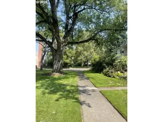 Photo #2: 23400649 Listing