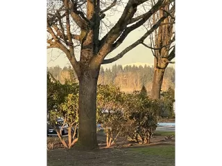 Photo #5: 23506000 Listing 