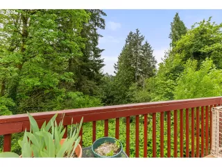 Photo #5: 235353631 Listing 