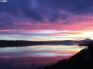 Photo #2: 235960293 Listing 