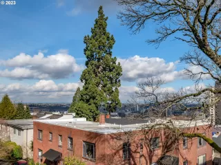 Photo #4: 23598616 Listing