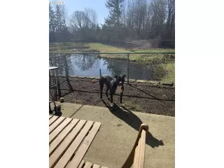 Photo #4: 23620195 Listing 