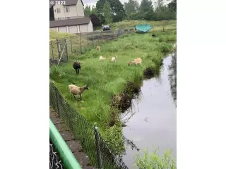 Photo #6: 23620195 Listing 