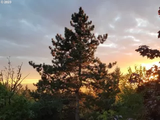 Photo #4: 23639579 Listing