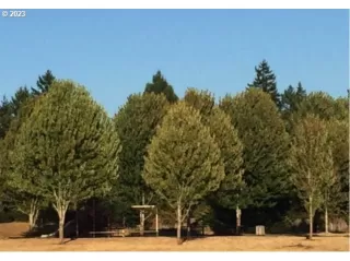 Photo #3: 23680790 Listing 