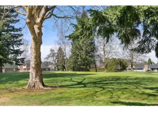 Photo #3: 23690144 Listing