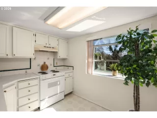 Photo #4: 239149173 Listing