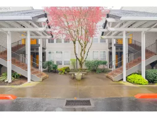 Photo #1: 240697463 Listing