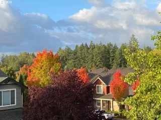 Photo #1: 24073964 Listing