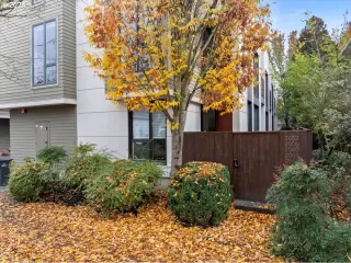 Photo #3: 24102442 Listing 