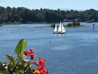 Photo #1: 24137950 Listing