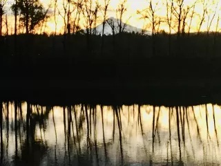 Photo #2: 24137950 Listing