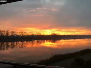 Photo #4: 24137950 Listing