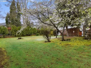 Photo #4: 24139574 Listing 