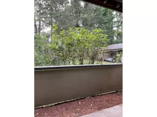 Photo #6: 24178617 Listing 