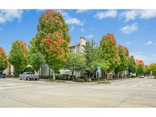 Photo #1: 24237853 Listing 