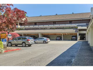 Photo #3: 242484602 Listing